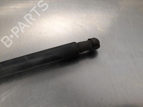Tailgate lift support BMW 3 Compact (E46) 316 ti | BP21605024C138 