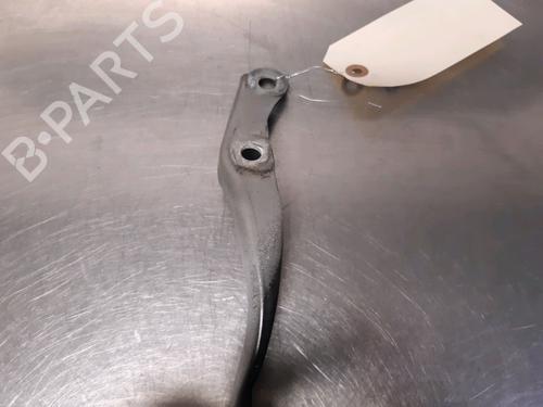 Hinge/Door check strap PEUGEOT 107 (PM_, PN_) 1.4 HDi | BP14866068C146 