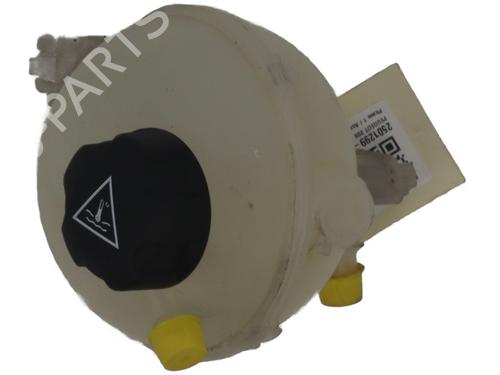 Used Expansion tank PEUGEOT 208 I (CA_, CC_) 1.4 HDi (68 hp) 29474751