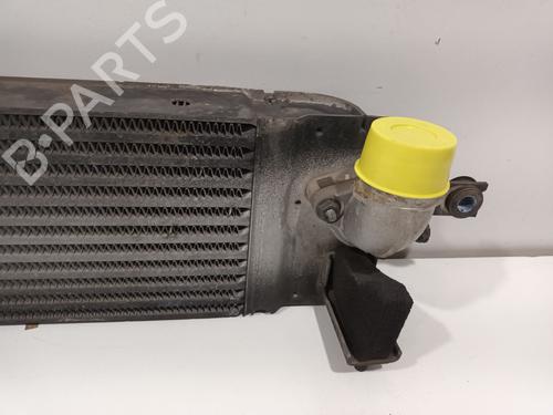 Intercooler RENAULT KOLEOS I (HY_) 2.0 dCi 4x4 (HY0B) | BP38231851M30 - Image 3