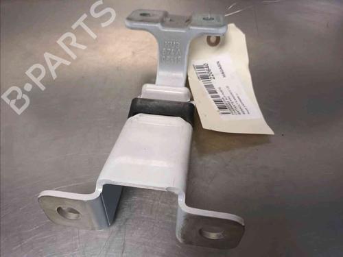 Hinge/Door check strap RENAULT KANGOO Express (FW0/1_)  | BP20603357C146 