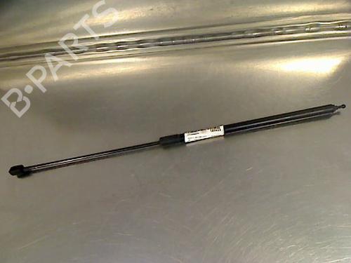 Used Hood lift support RENAULT MEGANE III Hatchback (BZ0/1_, B3_) 1.5 dCi (86 hp) 14866161