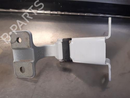Hinge/Door check strap RENAULT KANGOO Express (FW0/1_) 1.5 dCi 75 (FW07, FW10, FW04) | BP14868557C146 