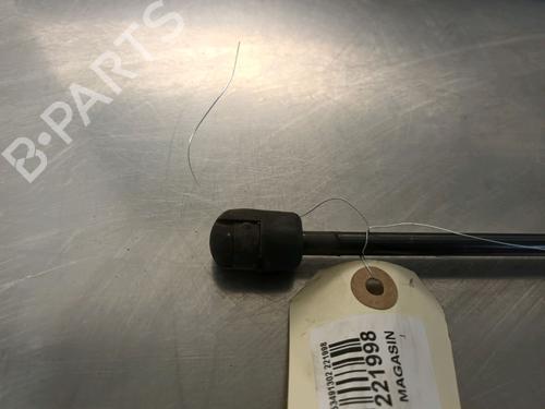 Tailgate lift support AUDI A3 (8V1, 8VK) 1.6 TDI | BP14868437C138 