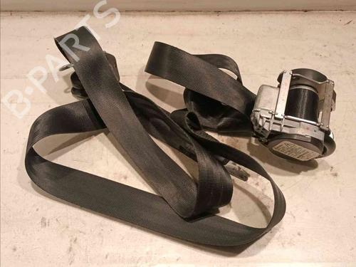 Used Front left belt tensioner RENAULT SCÉNIC III (JZ0/1_) 1.6 dCi (JZ00, JZ12) (130 hp) 20604860