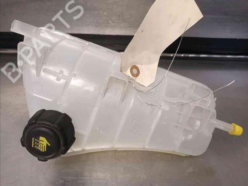 Used Expansion tank RENAULT KANGOO Express (FW0/1_) [2008-2025]  21139092