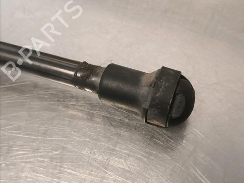 Tailgate lift support VOLVO S60 I (384) D5 | BP14868351C138 
