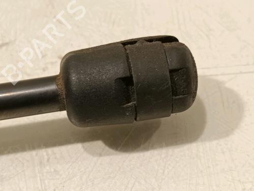 Hood lift support LAND ROVER RANGE ROVER EVOQUE (L538) 2.0 D | BP16555233C139 