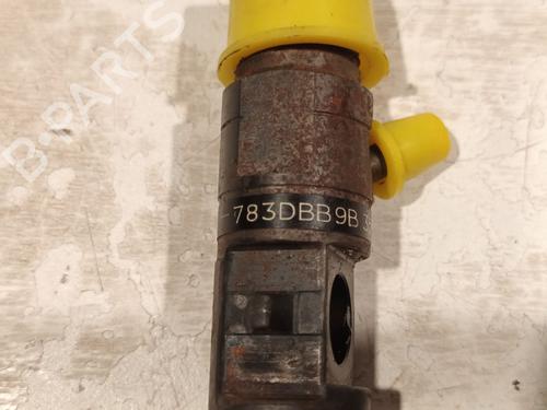 Injector RENAULT CLIO II (BB_, CB_) 1.5 dCi (B/CB07) | BP29697025M100