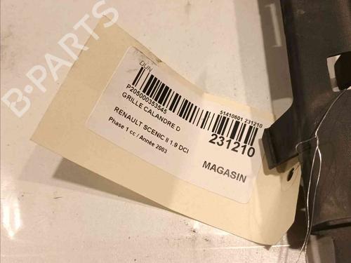 Grille RENAULT SCÉNIC II (JM0/1_) 1.9 dCi (JM0G, JM12, JM1G, JM2C) | BP21605289C40 
