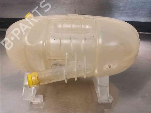 Expansion tank RENAULT KANGOO Express (FW0/1_)  | BP21781947C120 
