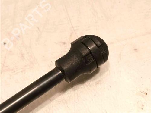 Tailgate lift support RENAULT MEGANE E-TECH SUV EV60 (BNJ1) | BP20604729C138 