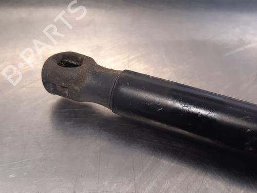 Tailgate lift support FORD FOCUS II (DA_, HCP, DP) 1.8 TDCi | BP14868338C138 