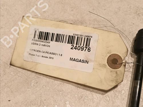 Tailgate lift support CITROËN C4 Picasso I MPV (UD_) 1.6 HDi 110 | BP19079719C138 