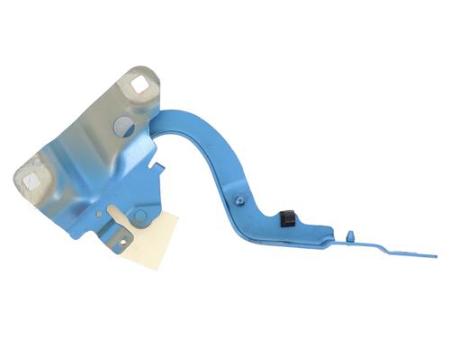 Used Hinge/Door check strap RENAULT ZOE (BFM_) ZOE (BFMD) (109 hp) 25134485
