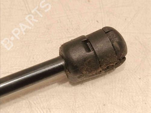 Hood lift support BMW X1 (F48) sDrive 16 d | BP20605147C139 