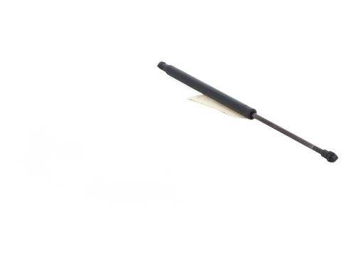 Tailgate lift support FIAT 500 (312_) 0.9 (312AXG1A, 312.AXG11) | BP29763391C138 