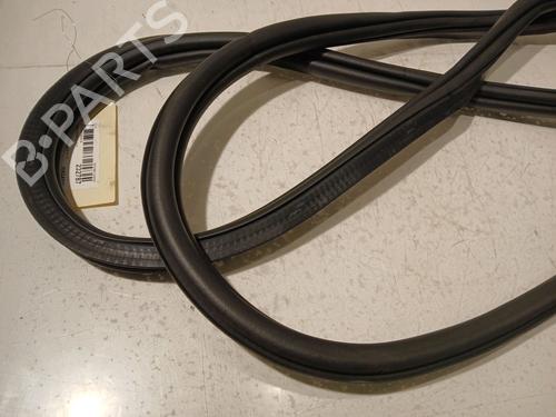 Rubber door seal VW POLO VI (AW1, BZ1, AE1) 1.0 TSI | BP17315505C142 
