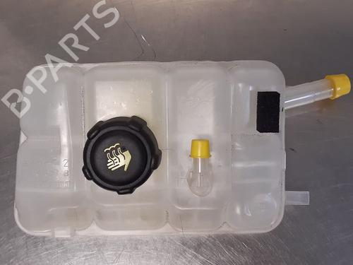 Used Expansion tank RENAULT ESPACE V (JR_) [2015-2023]  21801821