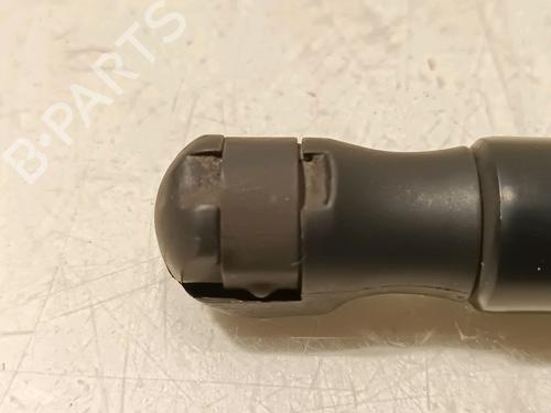 Hood lift support LAND ROVER RANGE ROVER EVOQUE (L538) 2.0 D | BP16555233C139 
