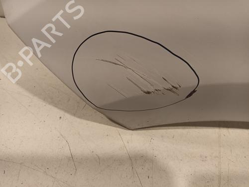 Left front fenders FIAT DUCATO Van (250_) 130 Multijet 2,3 D | BP29875533C41 