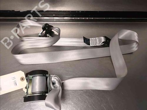 Used Rear right belt tensioner RENAULT SCÉNIC III (JZ0/1_) 2.0 dCi (JZ0Y, JZ26) (150 hp) 20603856