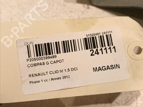 Hinge/Door check strap RENAULT CLIO IV (BH_) 1.5 dCi 90 | BP18731857C146 