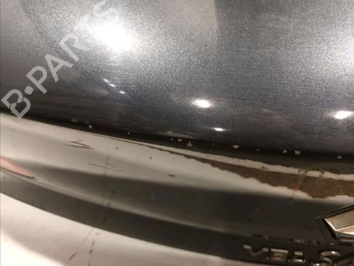 Tailgate RENAULT VEL SATIS (BJ0_) 2.2 dCi (BJ0E, BJ0F) | BP15492054C6 