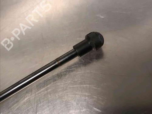 Tailgate lift support NISSAN MICRA V (K14) 1.5 DCI | BP21139073C138