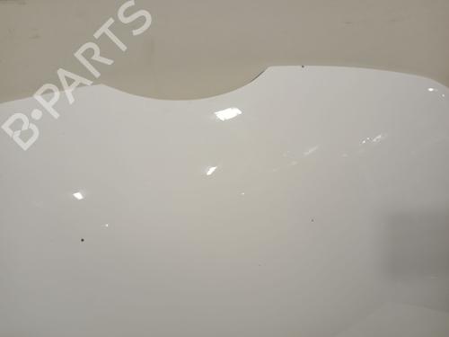 Hood FORD FIESTA VI (CB1, CCN) 1.6 TDCi | BP29173292C1 
