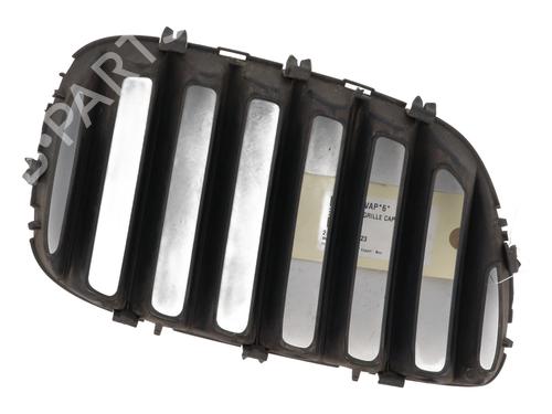 Grille BMW X5 (E53) 3.0 d | BP25044085C40 