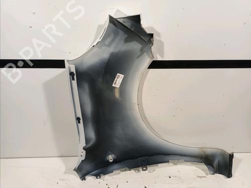 Left front fenders RENAULT KANGOO Express (FW0/1_) 1.5 dCi 90 (FW0G, FW05, FW08, FW11) | BP18123936C41 