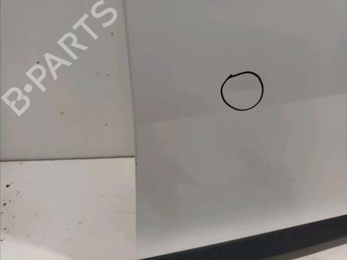 Right front door RENAULT MEGANE III Hatchback (BZ0/1_, B3_) 1.5 dCi | BP17551725C3 