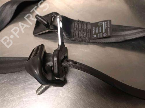 Rear right belt tensioner RENAULT SCÉNIC III (JZ0/1_) 1.5 dCi | BP20930553C90 