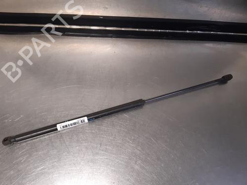 Used Tailgate lift support CITROËN C4 Picasso I MPV (UD_) 1.6 HDi (109 hp) 14868297