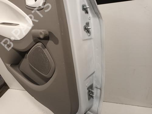 Left rear door RENAULT ZOE (BFM_) ZOE | BP29219203C4 