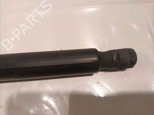 Tailgate lift support MERCEDES-BENZ M-CLASS (W164) ML 280 CDI 4-matic (164.120) | BP20604532C138 