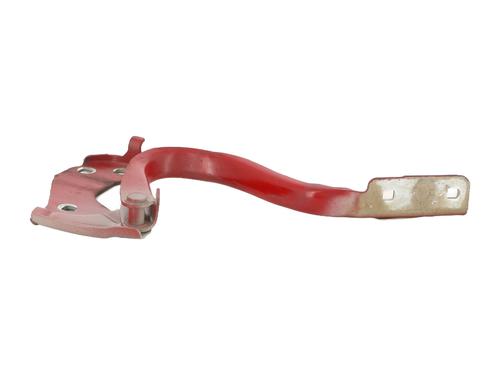 Used Hinge/Door check strap FIAT 500 (312_) 1.3 D Multijet (312AXE1A) (95 hp) 24167607