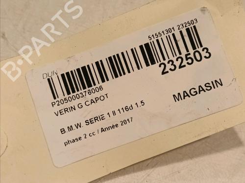 Hood lift support BMW 1 (F20) 116 d | BP16740426C139 