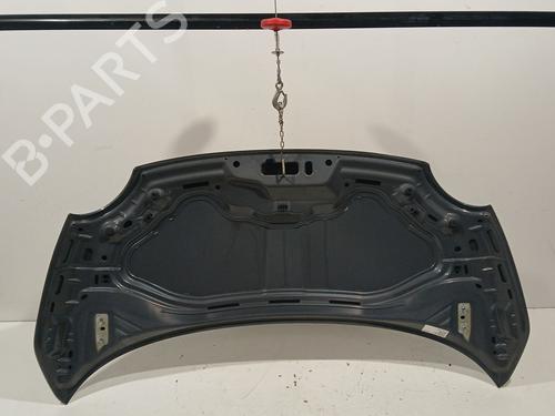 Hood FIAT 500 (312_) 0.9 (312AXG1A, 312.AXG11) | BP29696906C1