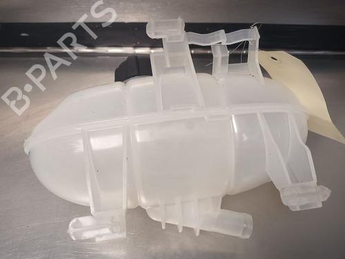 Expansion tank RENAULT TRAFIC III Van (FG_) 1.6 dCi 120 (FGMB, FGMC) | BP21781654C120 