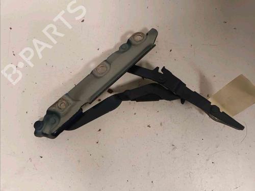 Hinge/Door check strap JAGUAR S-TYPE II (X200) 3.0 V6 | BP21083821C146 