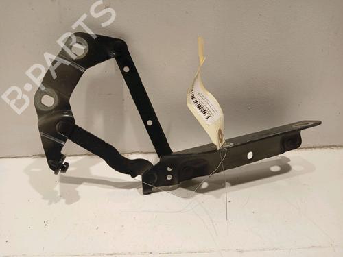 Used Hinge/Door check strap LAND ROVER RANGE ROVER EVOQUE (L538) 2.2 D 4x4 (150 hp) 17775945