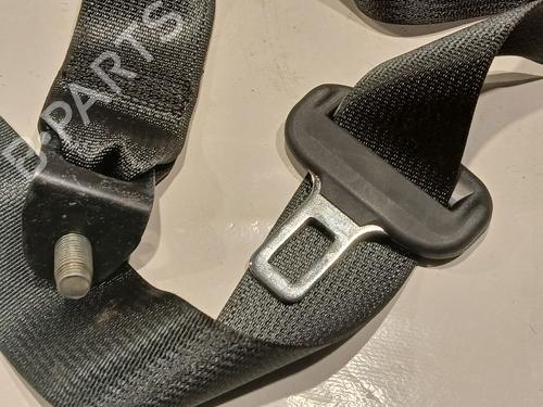Rear right belt tensioner RENAULT SCENIC E-TECH PHASE I EV87 | BP20671355C90 