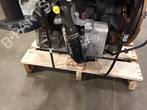 Engine RENAULT MASTER III Van (FV)  | BP31034132M1 