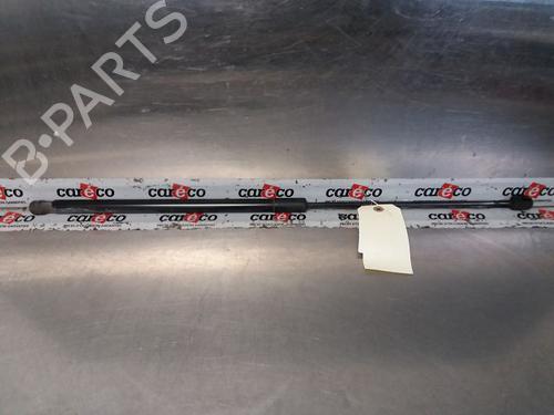 Tailgate lift support RENAULT WIND (E4M_) 1.2 (E4MF) 535309019290