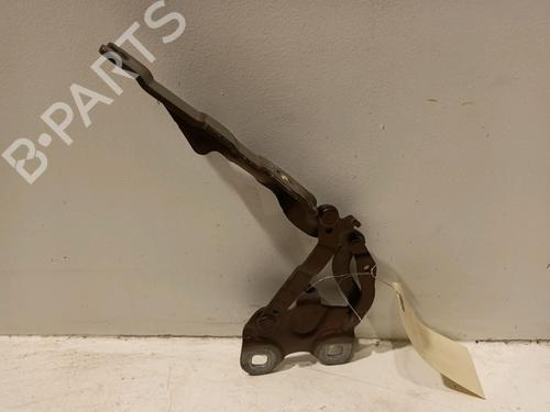 Hinge/Door check strap MINI MINI COUNTRYMAN (R60) One | BP18204199C146 