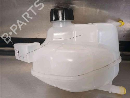 Expansion tank NISSAN QASHQAI II (J11, J11_)  | BP21781898C120 