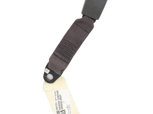 Seat buckle FIAT PUNTO (188_) 1.9 JTD 80 (188.237, .257, .337, .357) | BP21124319I32 