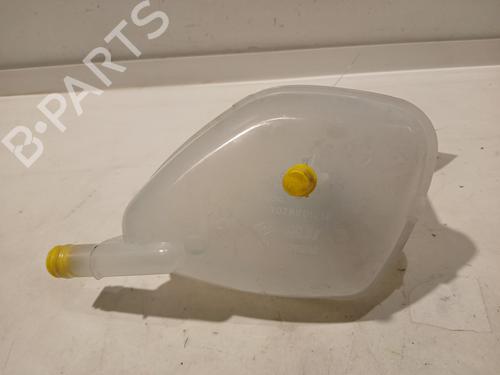 Expansion tank RENAULT SCENIC E-TECH PHASE I EV87 | BP21051621C120 